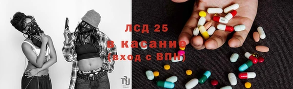 молекула духа Арсеньев