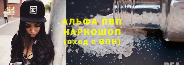 молекула духа Арсеньев