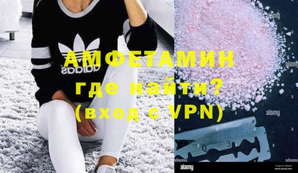молекула духа Арсеньев
